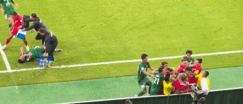 迷示意, news, mYFwA 迷示意, news, mYFwA