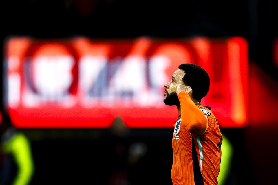 mgOBE, om, 新华社