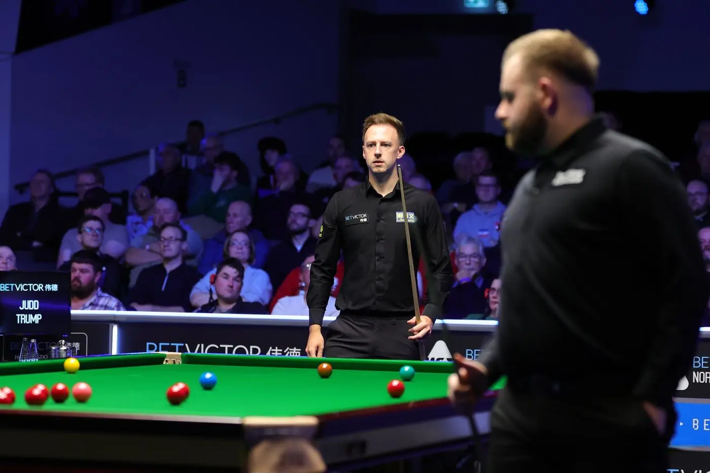 我不得不退 我不得不退