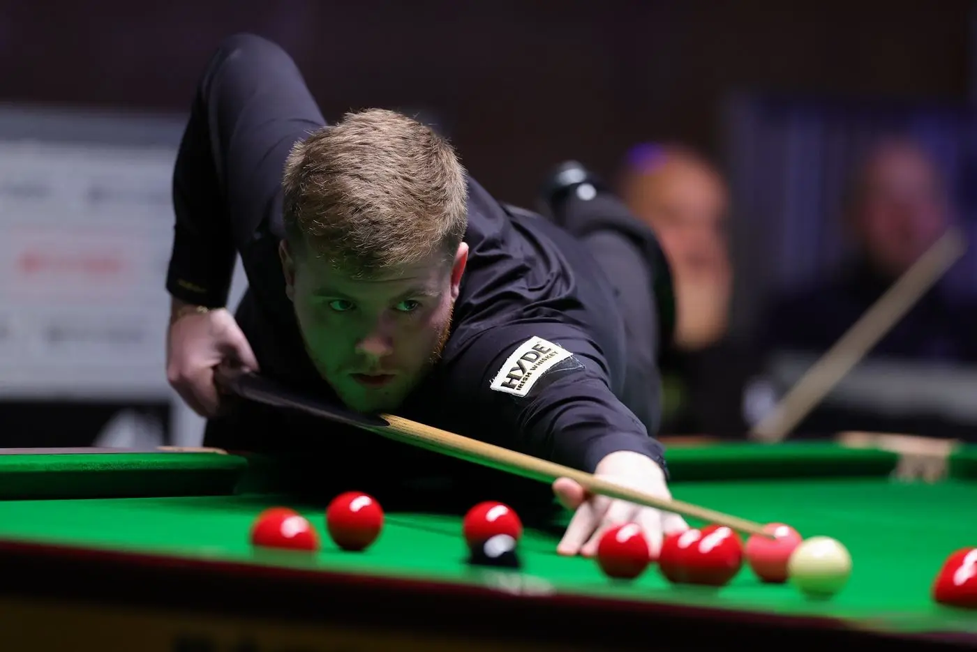 我完全没有 我完全没有